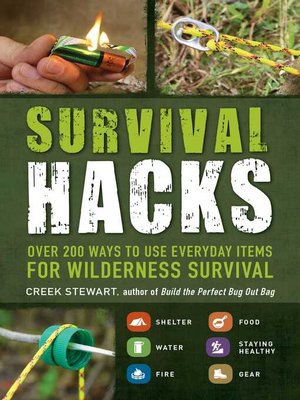 cover image of Survival Hacks
